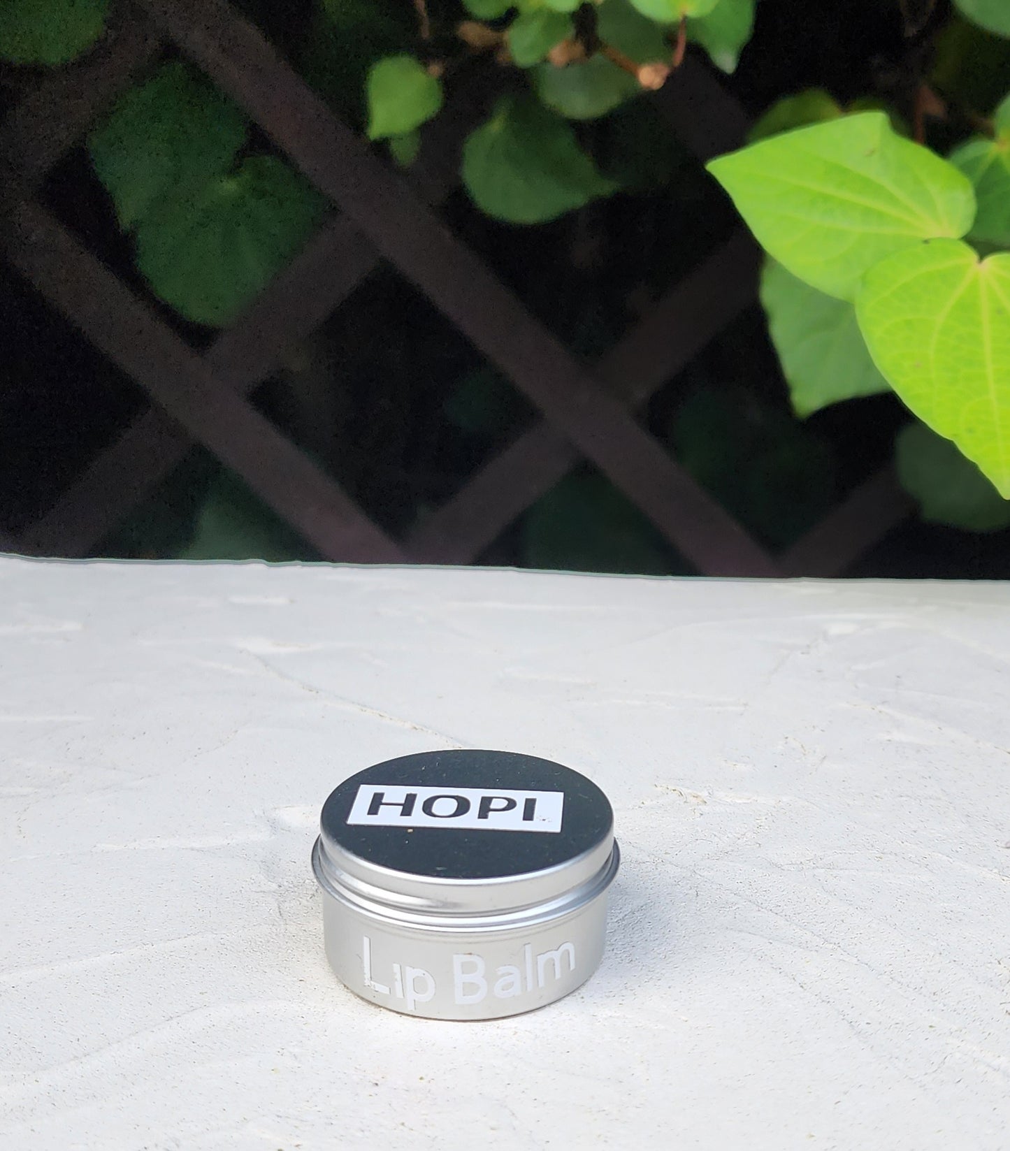 Lip Balm